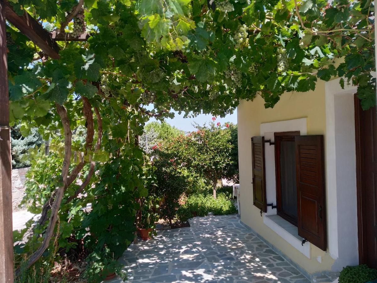 Hotel Theodorou Azolimnos Exteriér fotografie